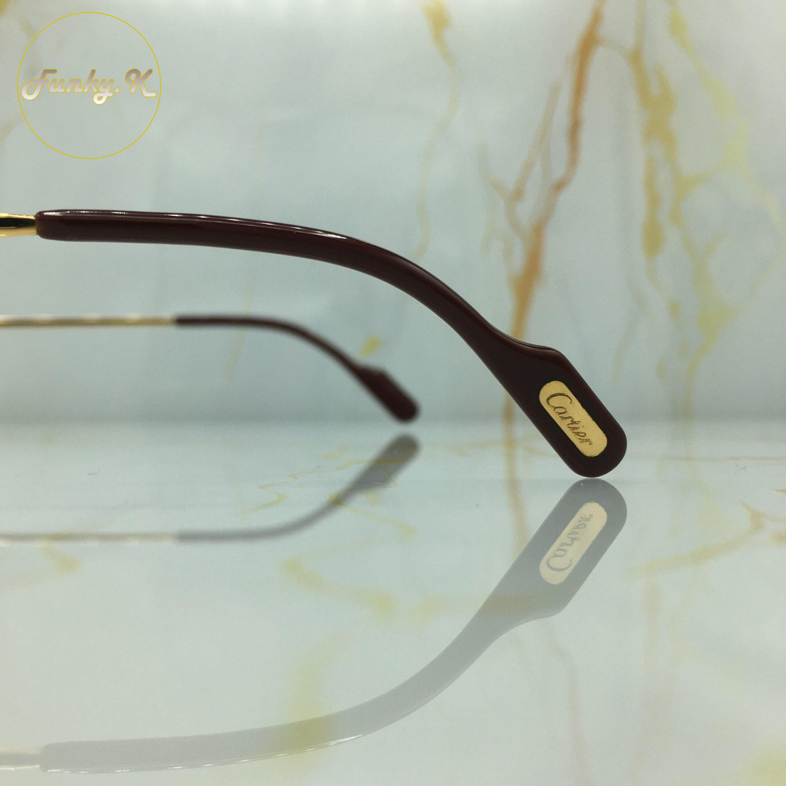 Cartier Must Santos (Large) – Image 8