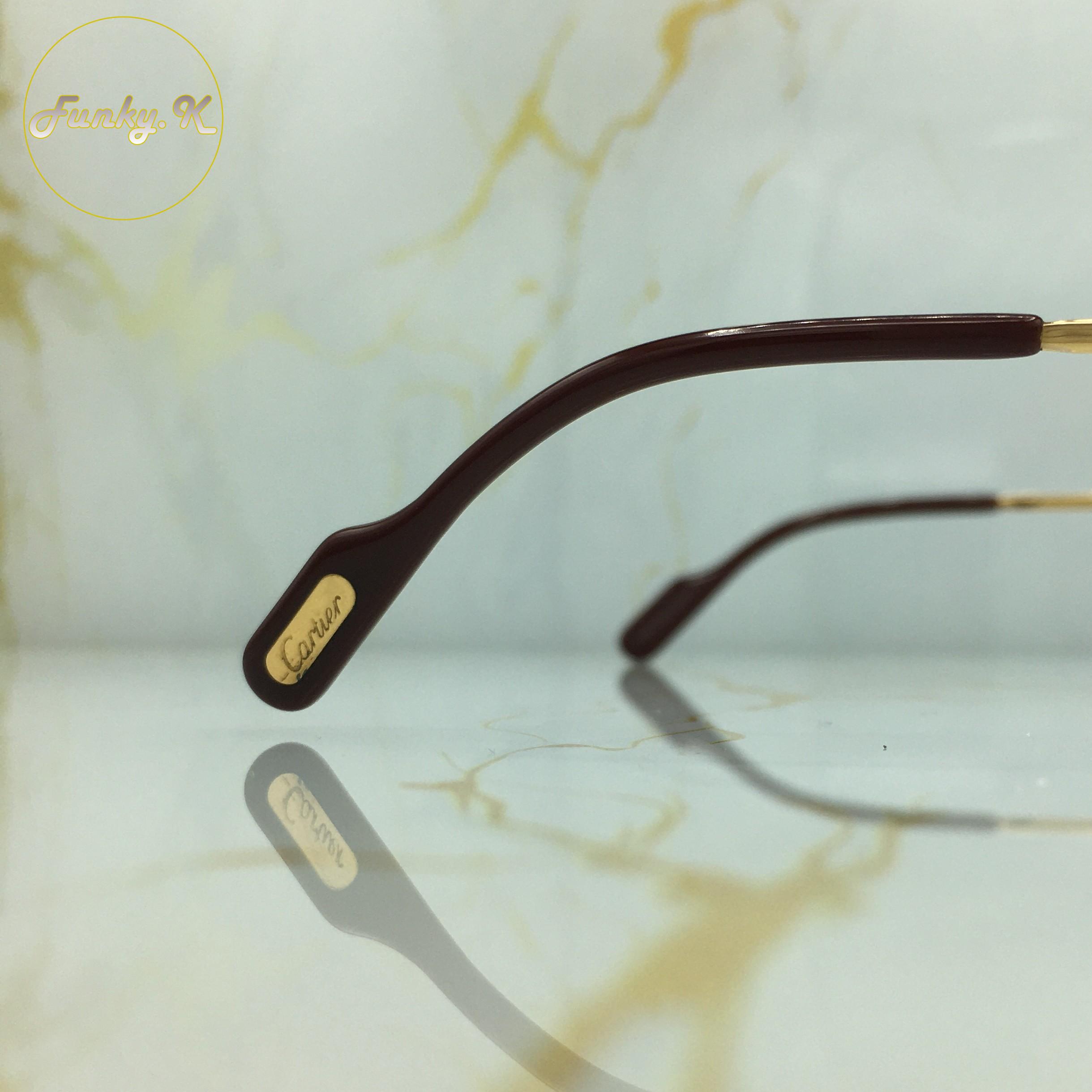 Cartier Must Santos (Large) – Image 16