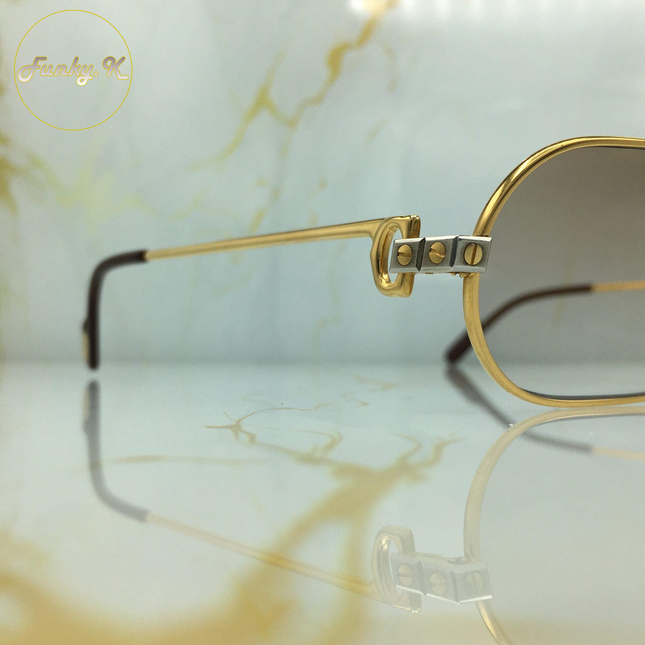Cartier Must Santos (Large) – Image 12